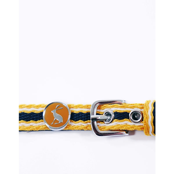 Close up of detailing of Joules Coastal Cat Collars in yellow, blue and white