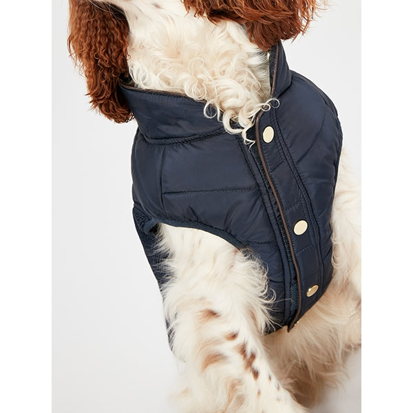 Close up of chest of dog wearing Joules Cherington Dog Coat