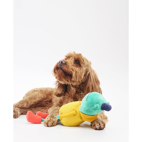 Dog sat with Joules Frog Dog Toy