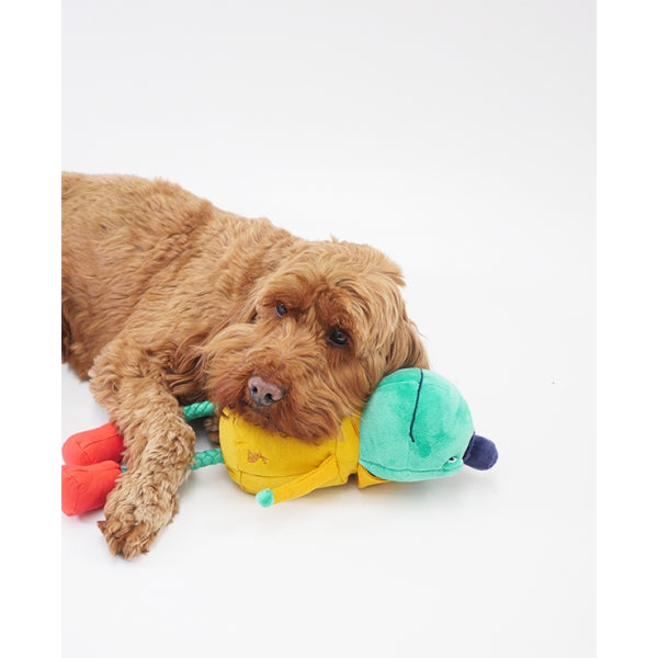 Dog resting head on Joules Frog Dog Toy