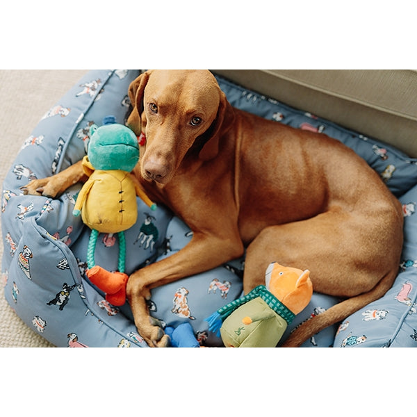 Dog with Joules Fox Dog Toy in dog bed