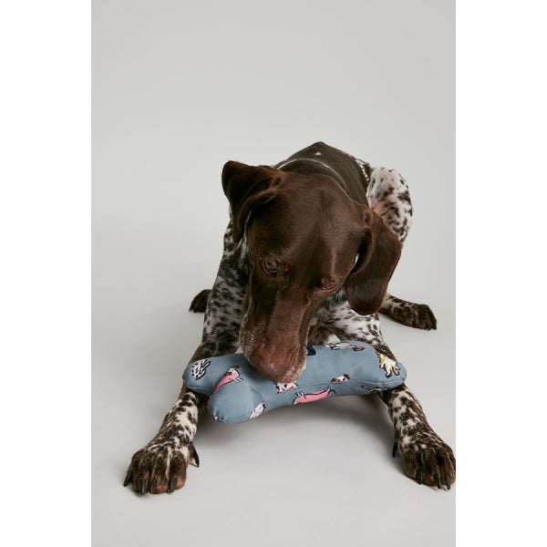 Dog chewing on Joules Rainbow Dogs Comfort Bone