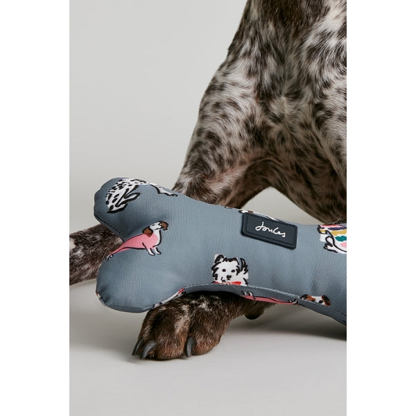 Close up of dog with Joules Rainbow Dogs Comfort Bone