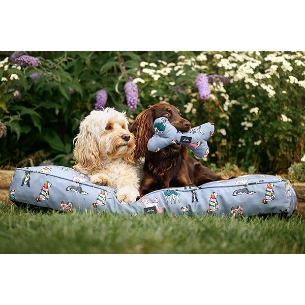 Dog holding Joules Rainbow Dogs Comfort Bone, with another dog on matching bed