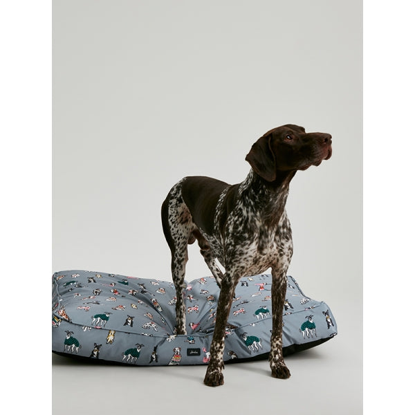 Joules Rainbow Dogs Mattress Duke Co