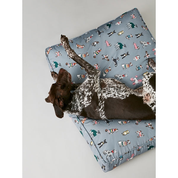 Dog playing on Joules Rainbow Dogs Mattress