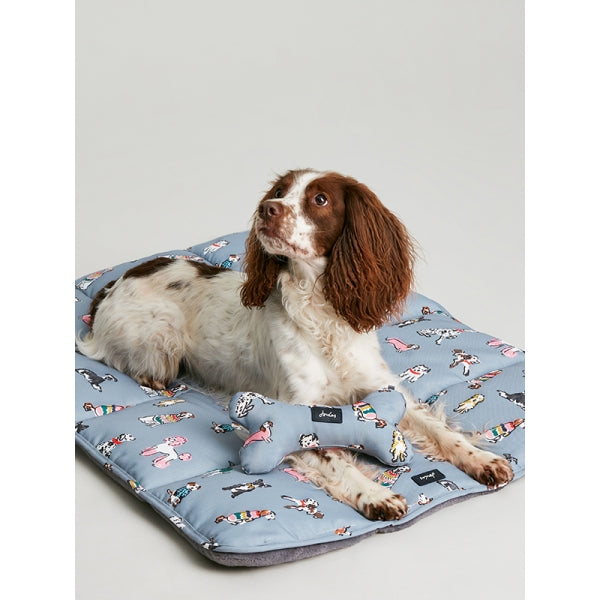 Dog laying on Joules Rainbow Dogs Travel Mat with matching bone