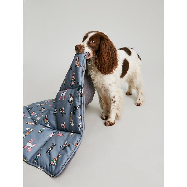 Dog holding Joules Rainbow Dogs Travel Mat