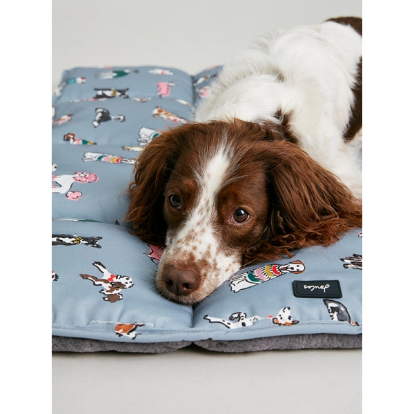 Close up of dog laying on Joules Rainbow Dogs Travel Mat