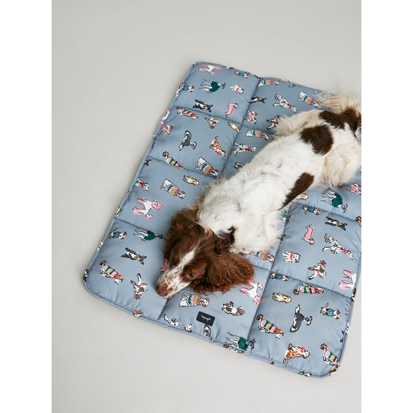View from above of dog laying on Joules Rainbow Dogs Travel Mat