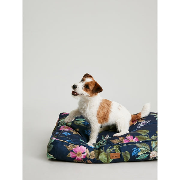 Small dog sat on Joules Botanical Floral Mattress