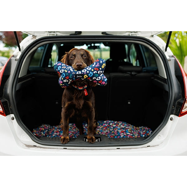 Dog in car with Joules Multi-Bee Print Comfort Bone