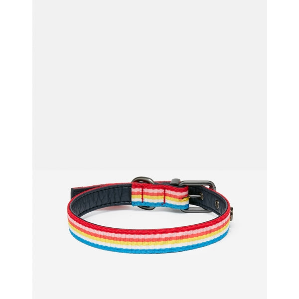 Joules Rainbow Stripe Dog Collar showing reverse of buckle