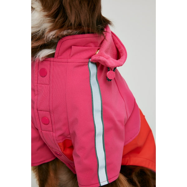 Close up of shoulder of dog wearing Joules Lydford Rain Coat