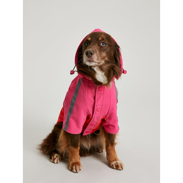 Dog wearing Joules Lydford Rain Coat with hood up