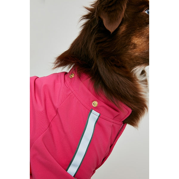 Close up of neck of dog wearing Joules Lydford Rain Coat