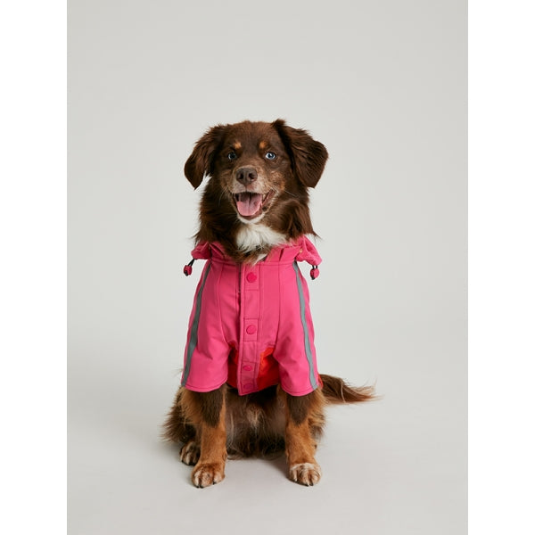 Front view of dog wearing Joules Lydford Rain Coat