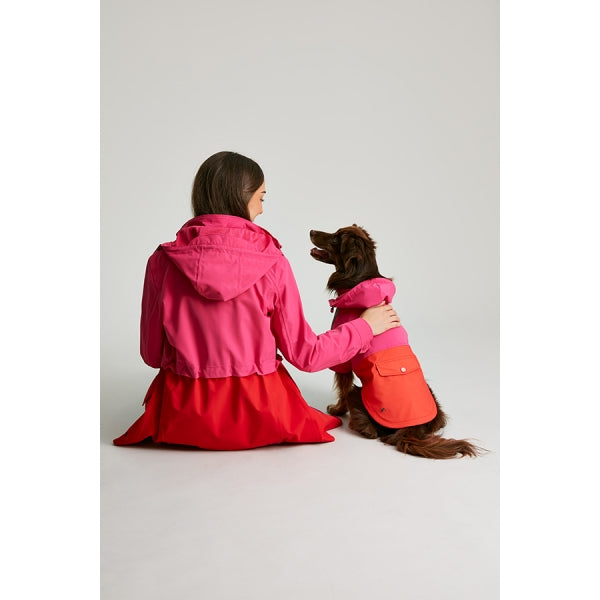 Rear view of dog wearing Joules Lydford Rain Coat sat next to human wearing matching coat
