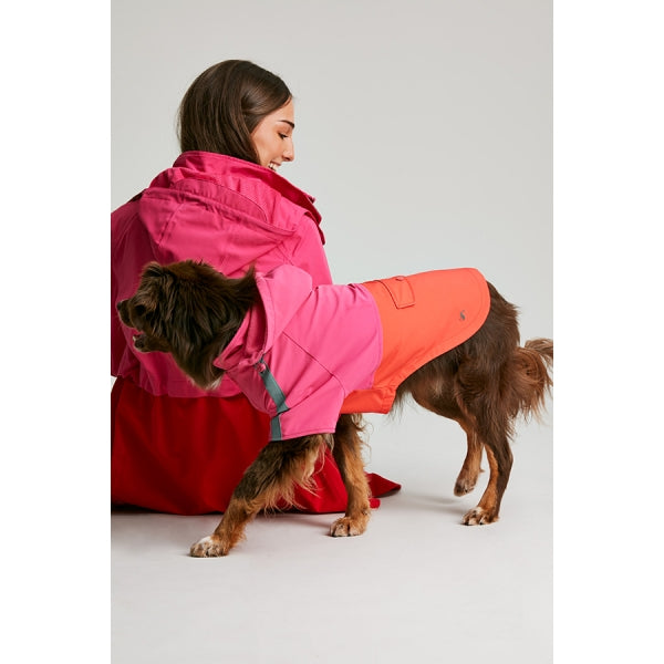 Joules raining dogs jacket best sale