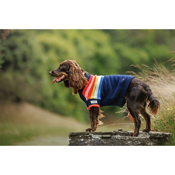 Side view of dog wearing Joules Seaport Chenille Stripe Jumper