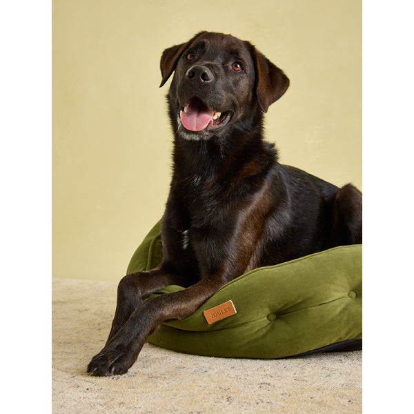 Labrador laying on Joules Chesterfield Pet Bed in Khaki