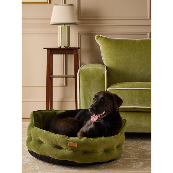 Dog laying in Joules Chesterfield Pet Bed in Khaki