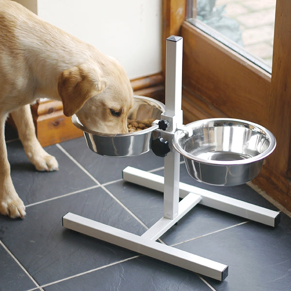 Large dog eating from Adjustable Double Diner