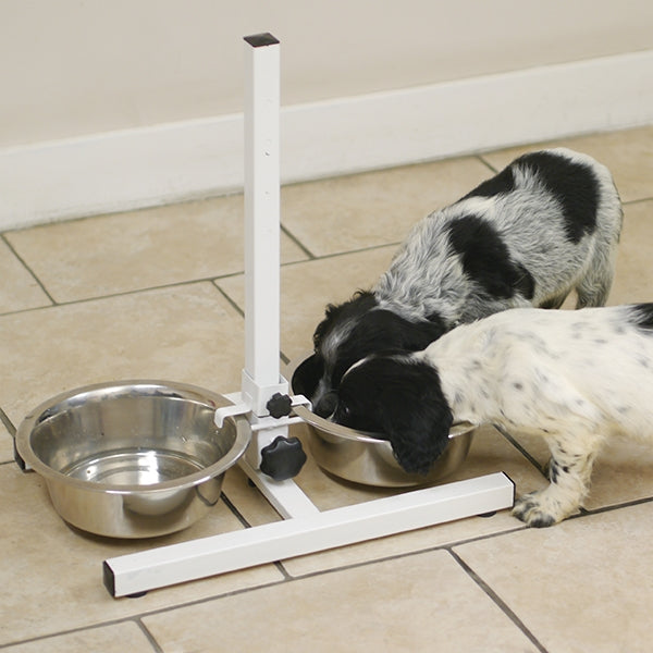 Puppies eating from Adjustable Double Diner