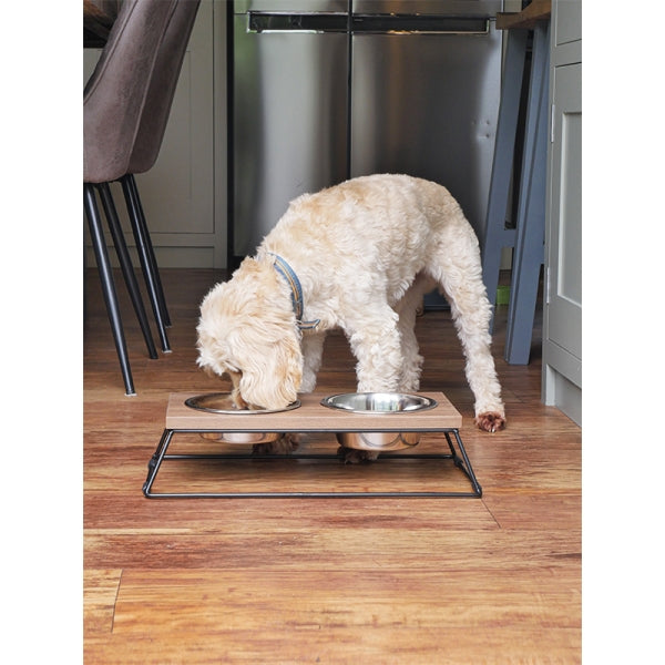 Dog eating from Slow Feeder Wooden Double Diner