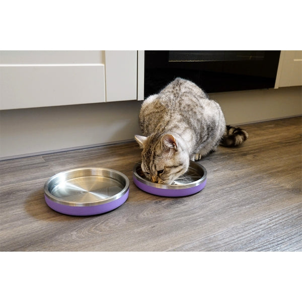 Cat eating from Shallow Double Wall Stainless Steel Bowl in lilac