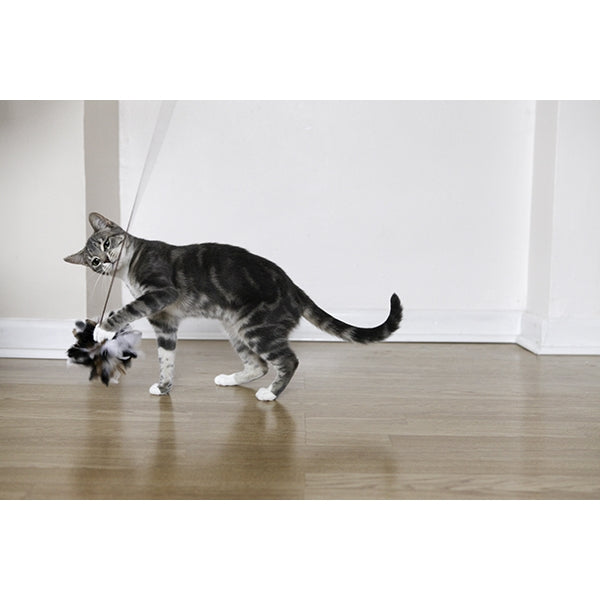 Cat playing with Natural Feather Teaser