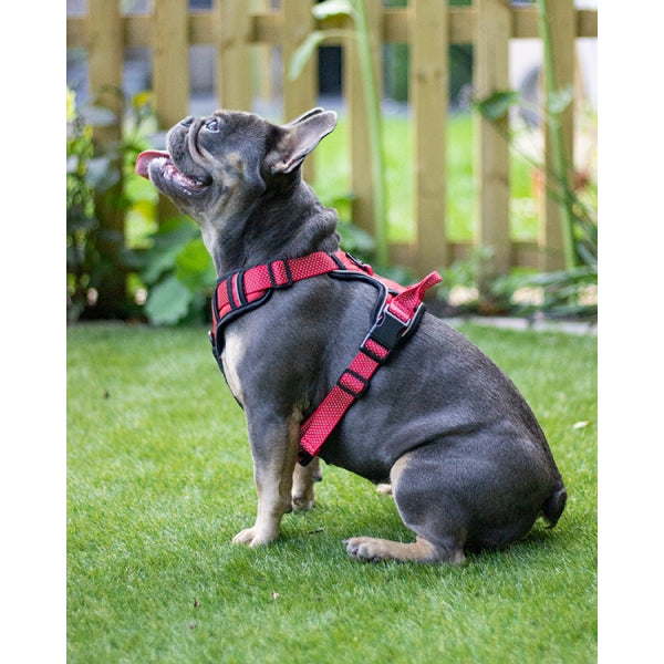 Side view of dog wearing Rosewood Reflective Dog Harness in red