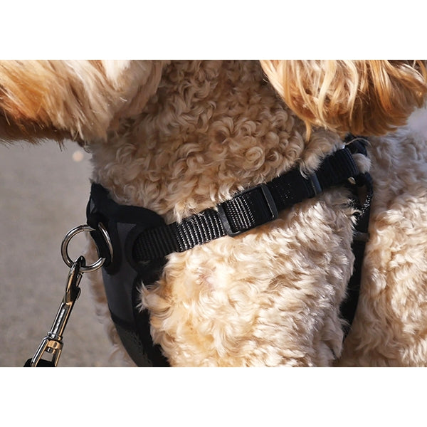 Close up of shoulder of Coastal Training Front-Connect Padded Dog Harness