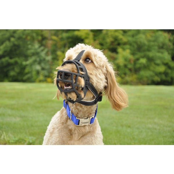 Dog wearing Soft Basket Muzzle