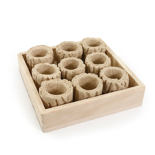 Hide 'n' Treat Forage Tray