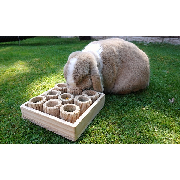 Rabbit using Hide 'n' Treat Forage Tray