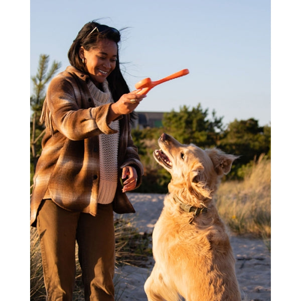 Dog playing with N-GAGE Propeller Regular