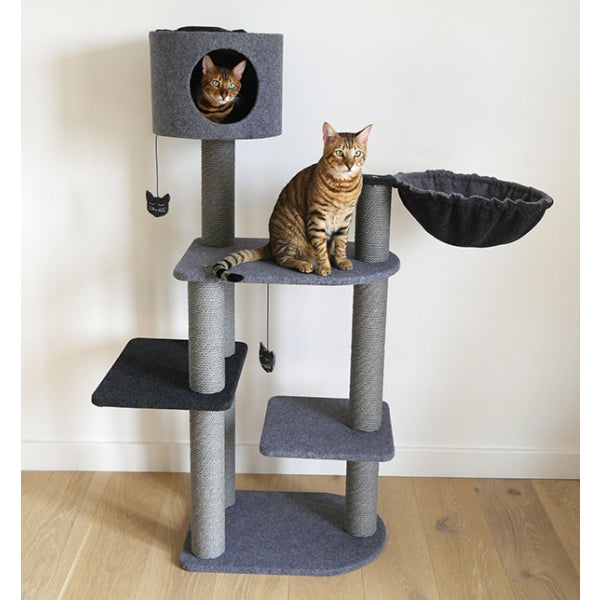 Cats playing on Charcoal Felt Cat Triple Tower