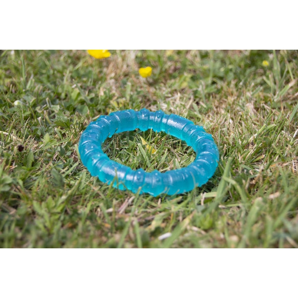 BioSafe Puppy Ring in blue