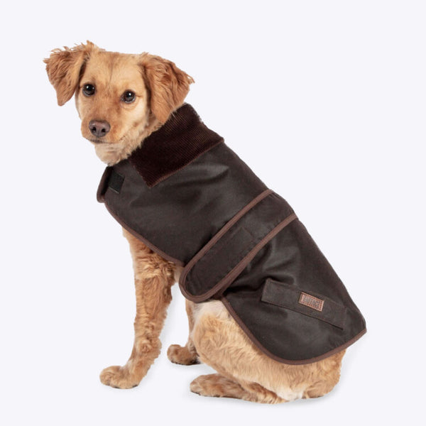 Dog wearing Danish Design FatFace Sussex Wax Dog Coat