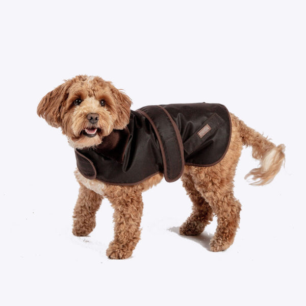 Dog wearing Danish Design FatFace Sussex Wax Dog Coat