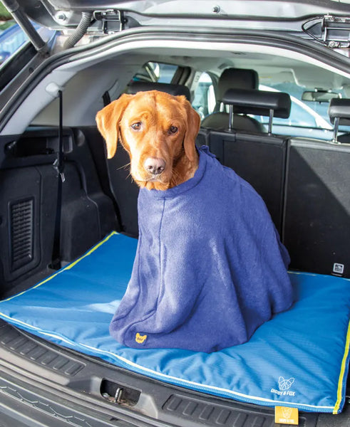 Dog wearing the Digby & Fox Dog Towel Bag in the boot of a car