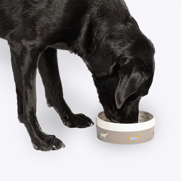 Dog eating from Danish Design FatFace Marching Dogs Pet Bowl