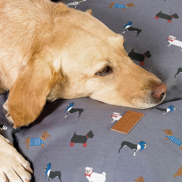 Close up of dog laying on Danish Design FatFace Marching Dogs Deep Duvet