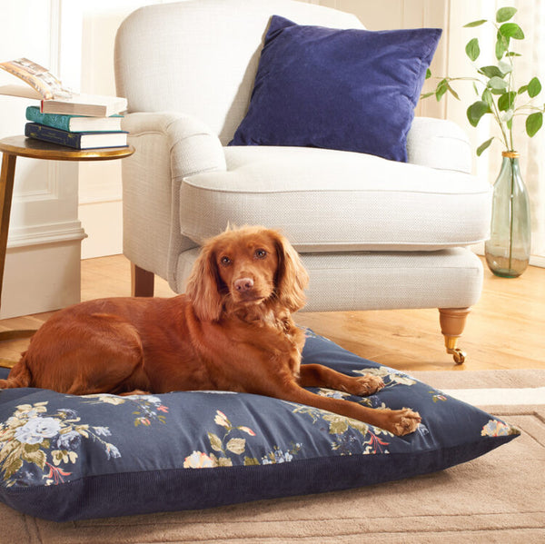 Dog laying on Laura Ashley Rosemore Deep Duvet