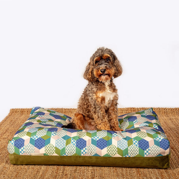 Dog sitting on Laura Ashley Thistle Patchwork Duvet