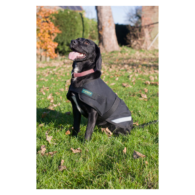 Dog wearing Classic Canvas Waterproof Coat in black