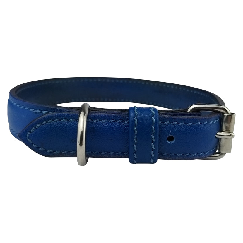 Cameo Canine Core Collection Collar in Cobalt Blue