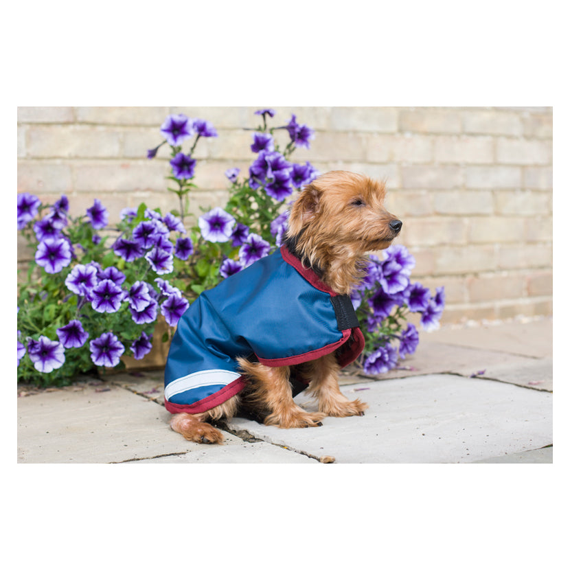 Storm Waterproof Dog Coat