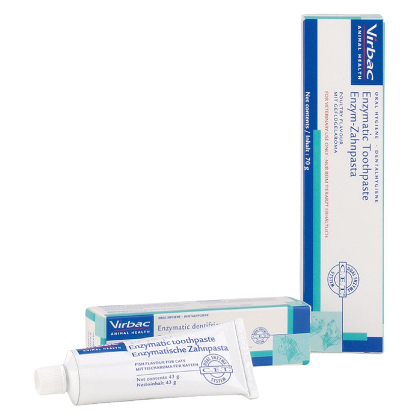Enzymatic Toothpaste